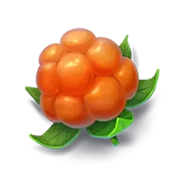 icon 2