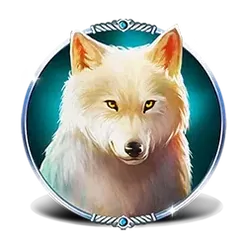 icon 4