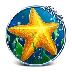 icon 5
