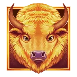 icon 9