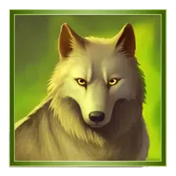 icon 4