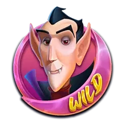 icon 13