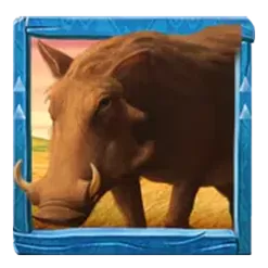 icon 5