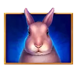 icon 4