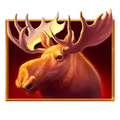 icon 1