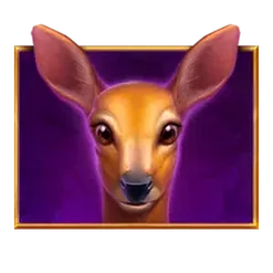icon 2
