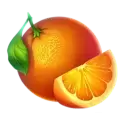 icon 7