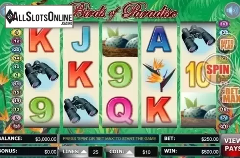Screen7. Birds Of Paradise (Wager Gaming) from Wager Gaming