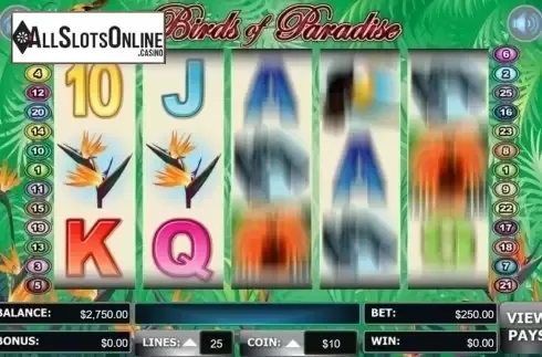 Screen6. Birds Of Paradise (Wager Gaming) from Wager Gaming