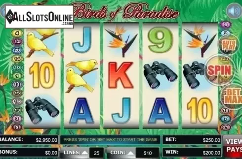 Screen8. Birds Of Paradise (Wager Gaming) from Wager Gaming