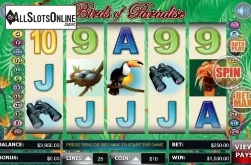 Screen9. Birds Of Paradise (Wager Gaming) from Wager Gaming