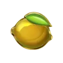 icon 10