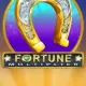 Fortune Multiplier