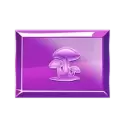 icon 7
