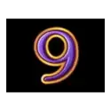 icon 13