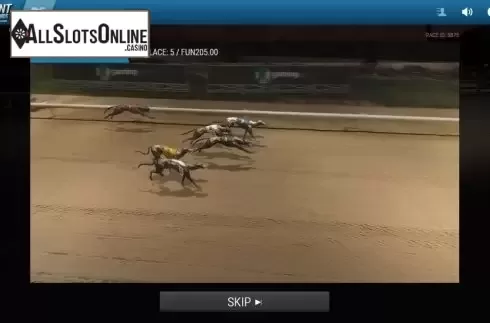 Game Screen 3. Instant Virtual Greyhounds from 1X2gaming
