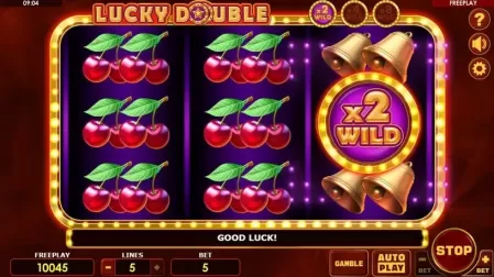 Lucky Double slot screenshot 5