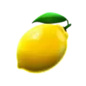 icon 6