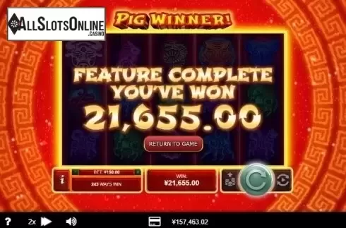 Free Spins Win. Pig Winner from RTG