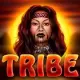 Tribe