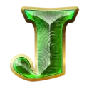 icon 9