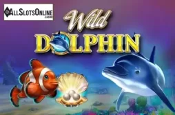 Wild Dolphin