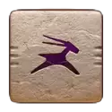 icon 10