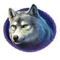 icon 5