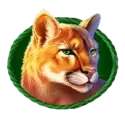 icon 4