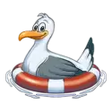 icon 1