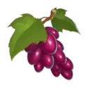 icon 3