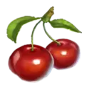 icon 9
