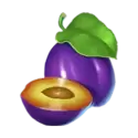 icon 5