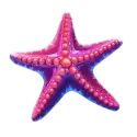 icon 5