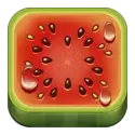 icon 1