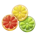 icon 4