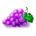 icon 5