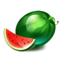 icon 4