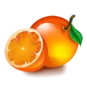 icon 7