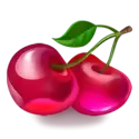 icon 9