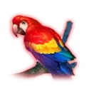 icon 4