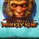 The Treasure of Monkey King