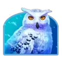 icon 4