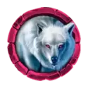 icon 4