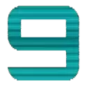 icon 13