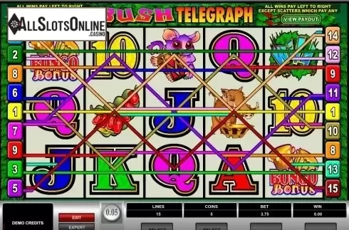Screen3. Bush Telegraph from Microgaming