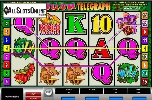 Screen4. Bush Telegraph from Microgaming