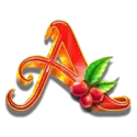 icon 5