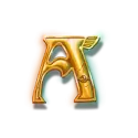 icon 7
