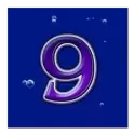 icon 13